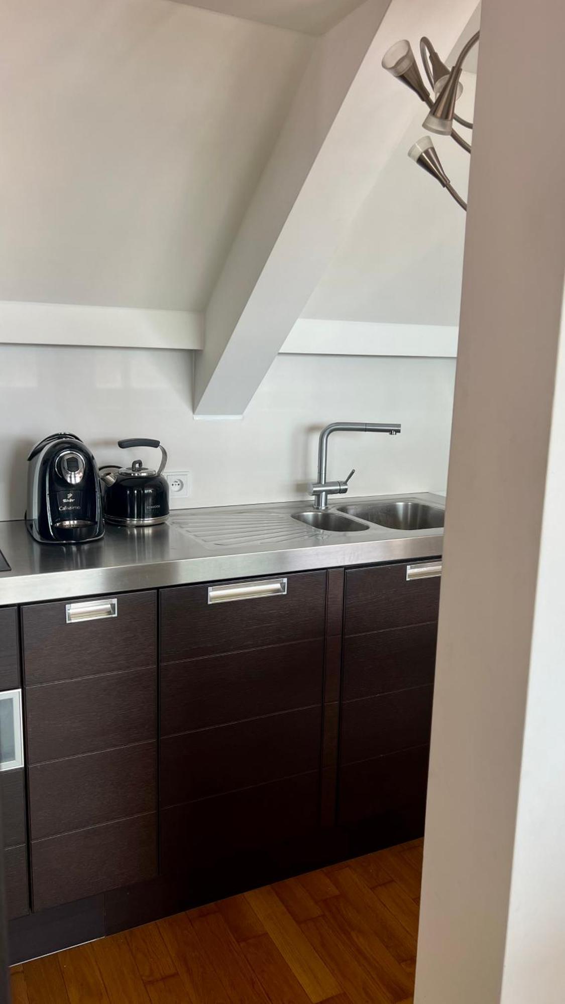 Apartman Se Saunou A Terasou S Vyhledem Na Brno Bagian luar foto