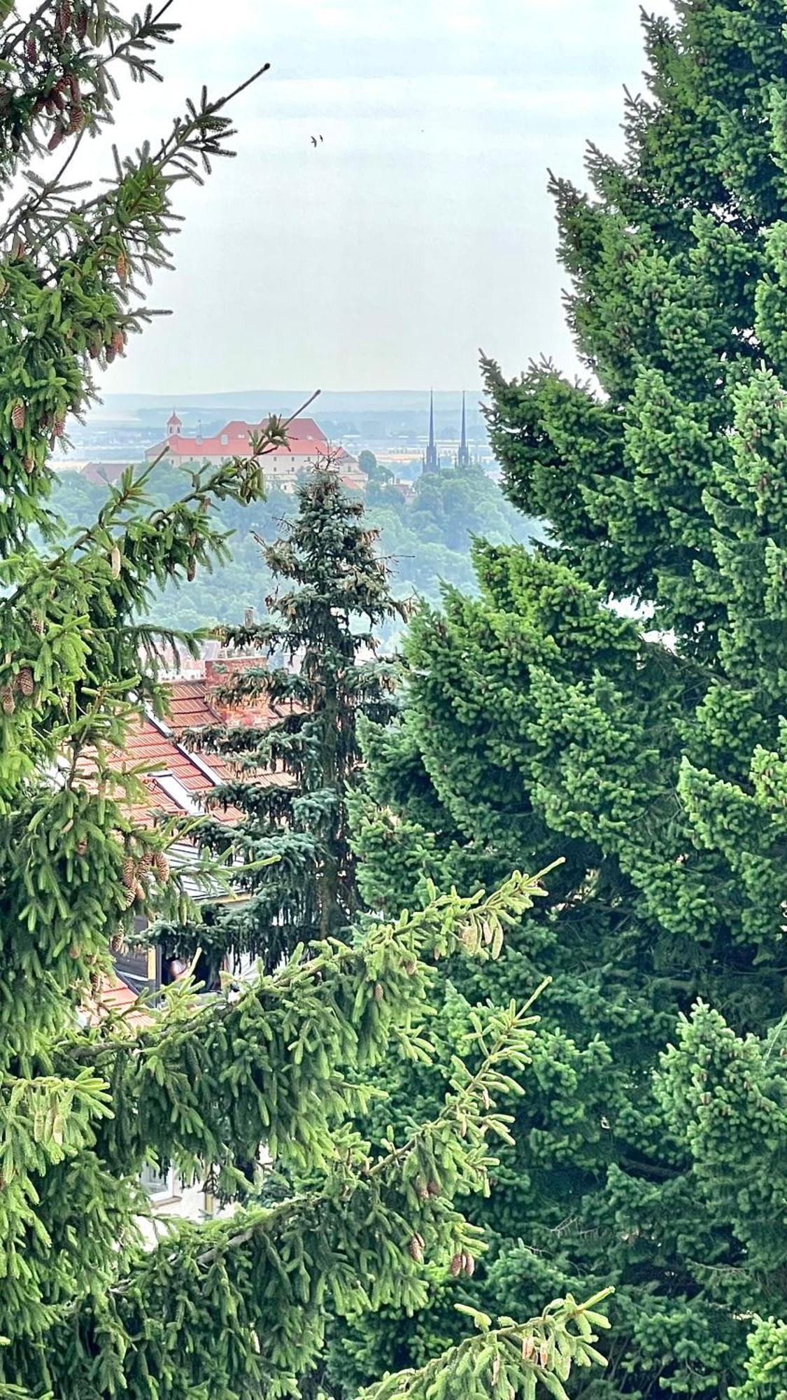 Apartman Se Saunou A Terasou S Vyhledem Na Brno Bagian luar foto