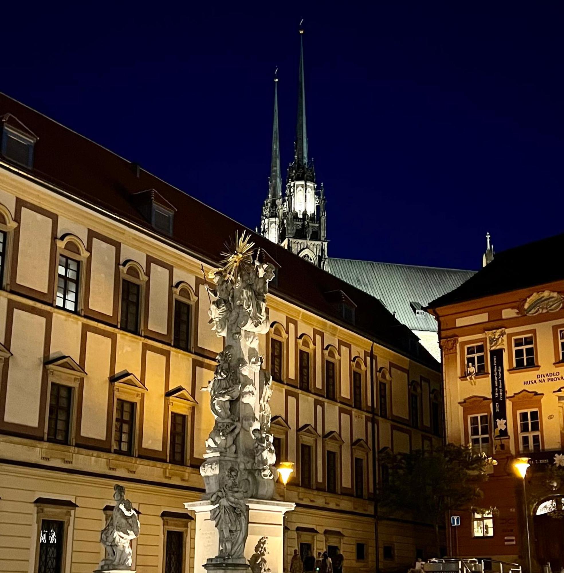 Apartman Se Saunou A Terasou S Vyhledem Na Brno Bagian luar foto